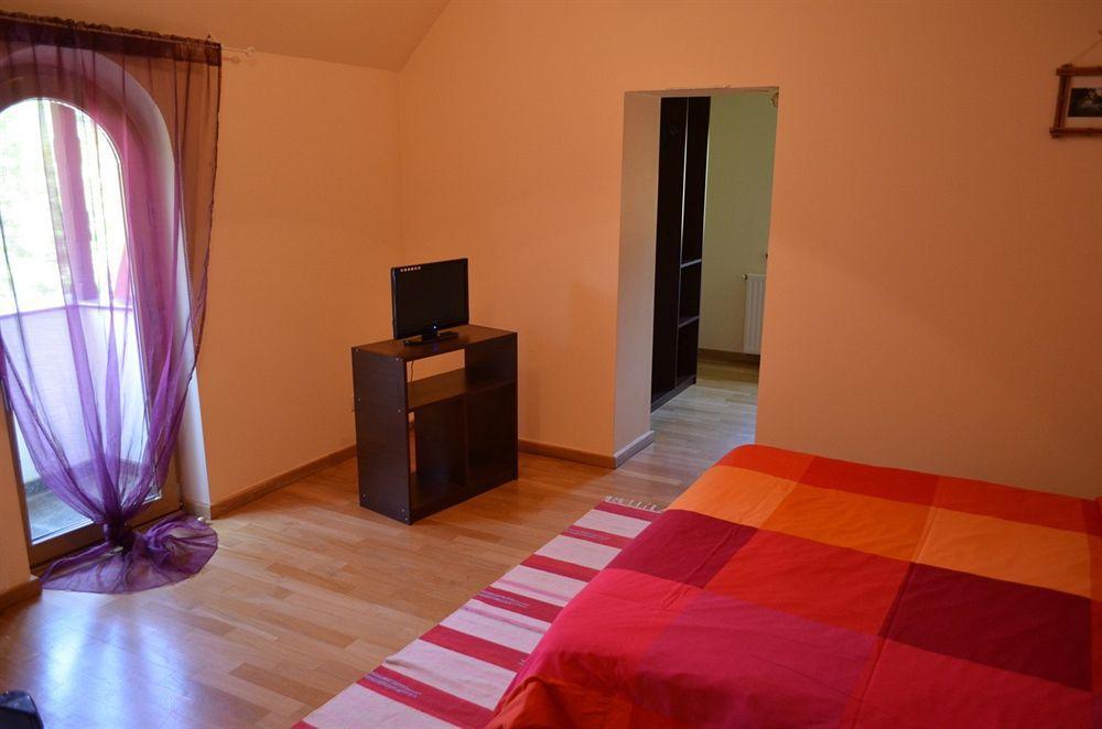 Vila Arizto Sinaia Zewnętrze zdjęcie