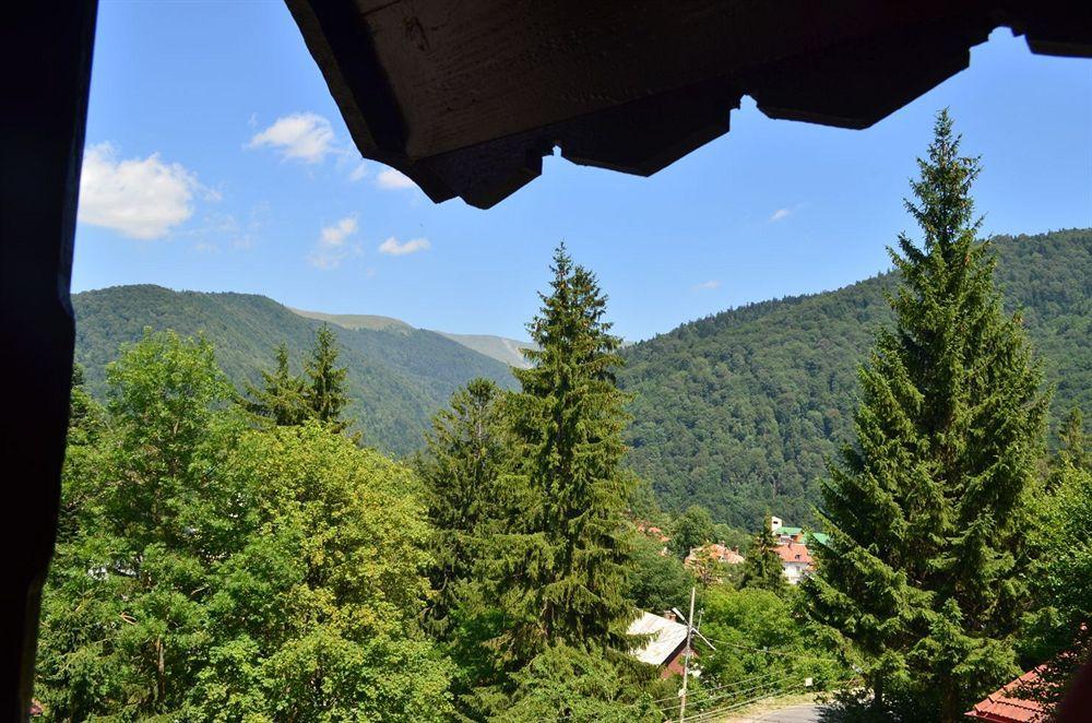 Vila Arizto Sinaia Zewnętrze zdjęcie