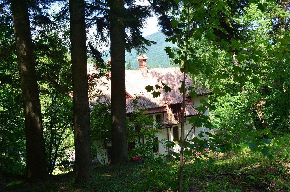 Vila Arizto Sinaia Zewnętrze zdjęcie