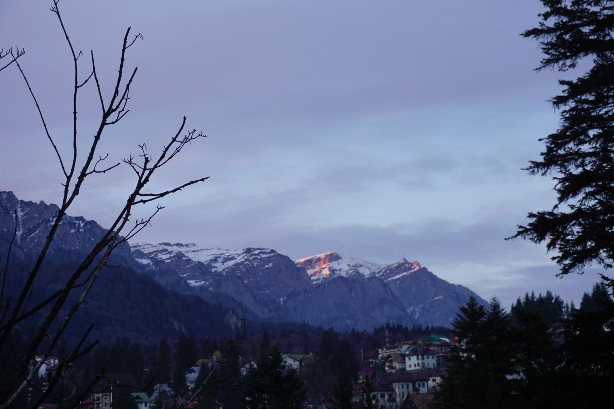 Vila Arizto Sinaia Pokój zdjęcie