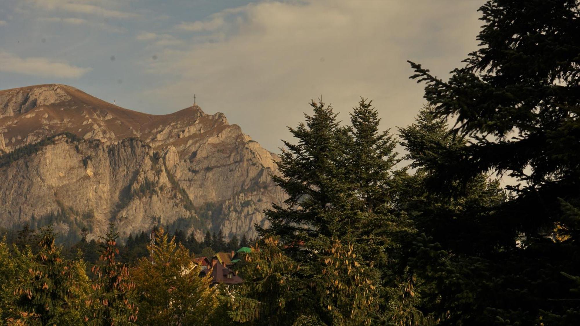Vila Arizto Sinaia Pokój zdjęcie