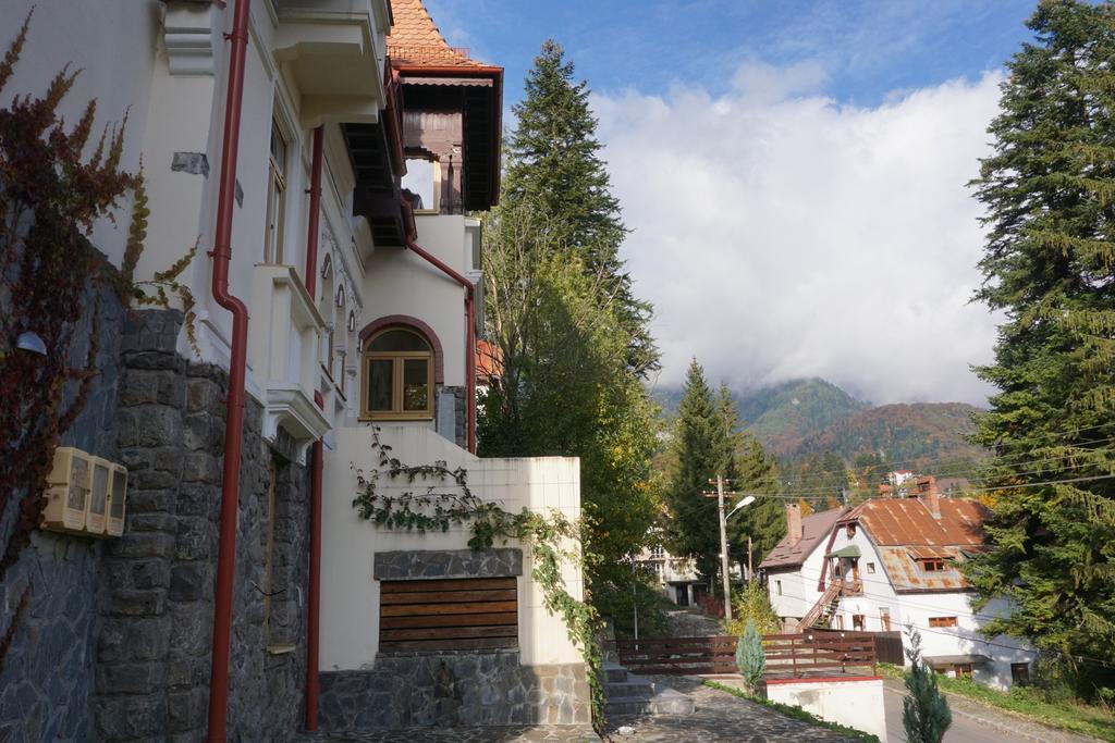 Vila Arizto Sinaia Zewnętrze zdjęcie