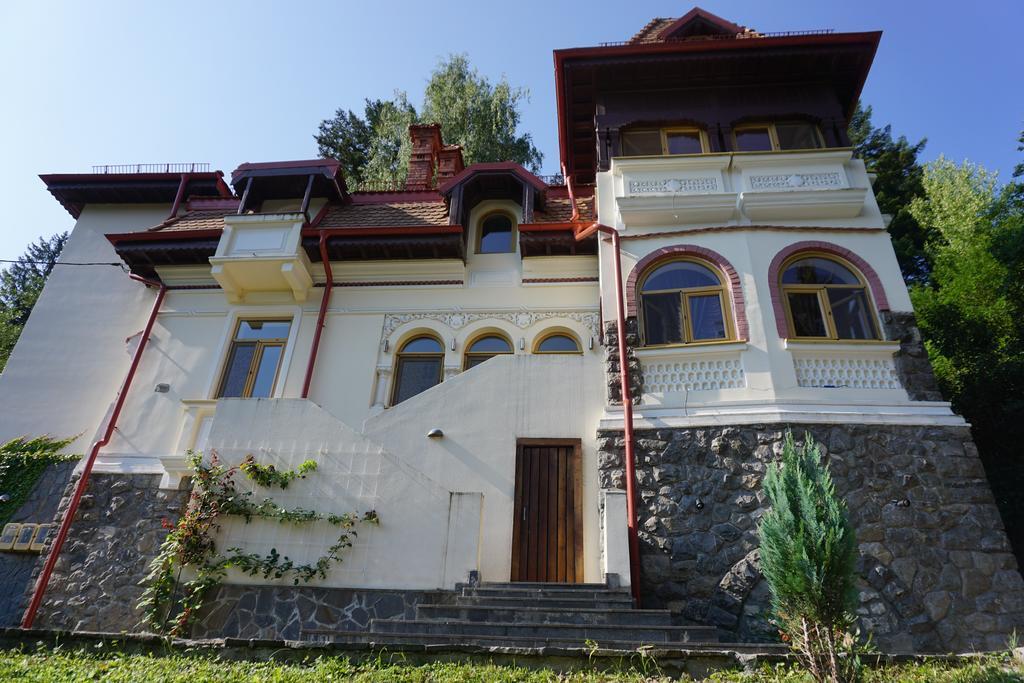 Vila Arizto Sinaia Zewnętrze zdjęcie
