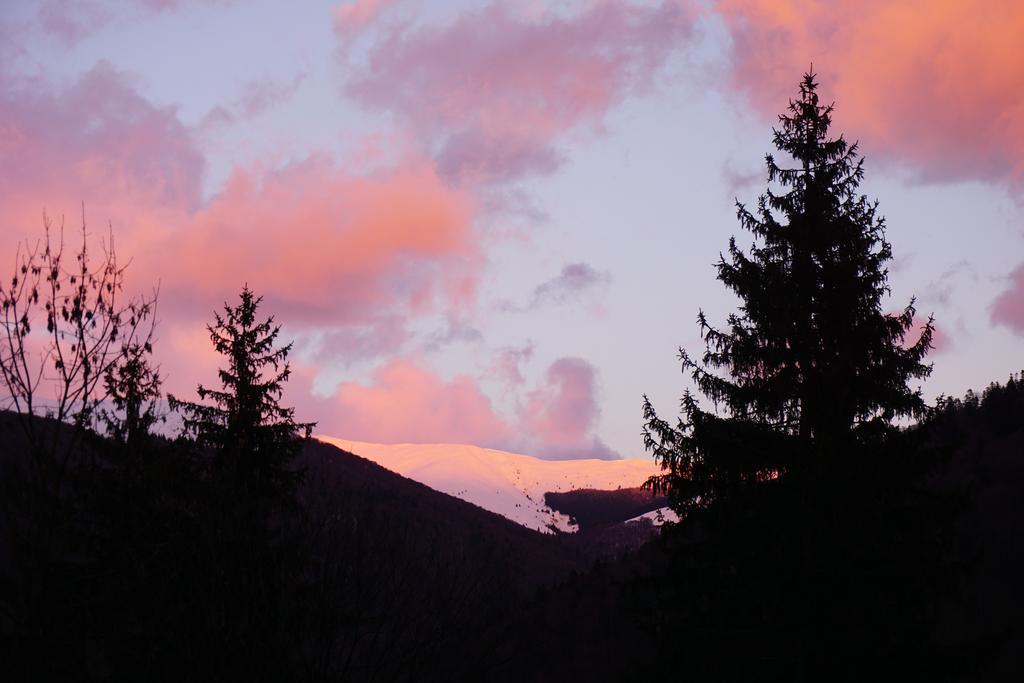 Vila Arizto Sinaia Zewnętrze zdjęcie