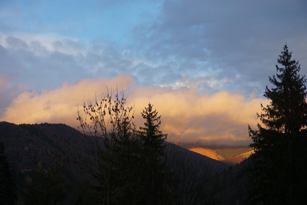 Vila Arizto Sinaia Zewnętrze zdjęcie
