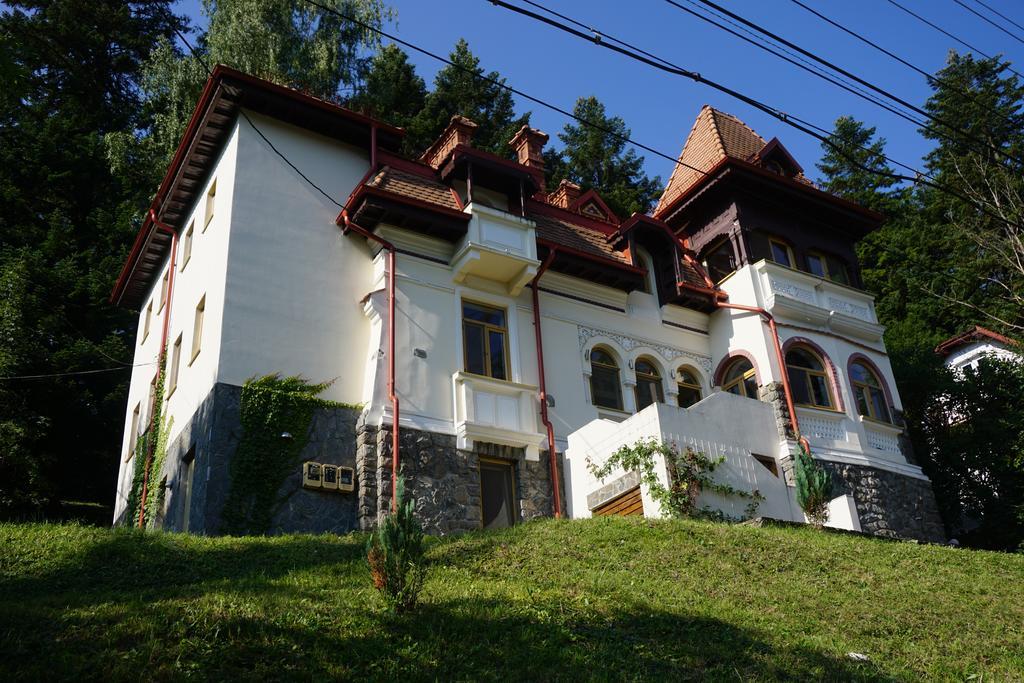 Vila Arizto Sinaia Zewnętrze zdjęcie