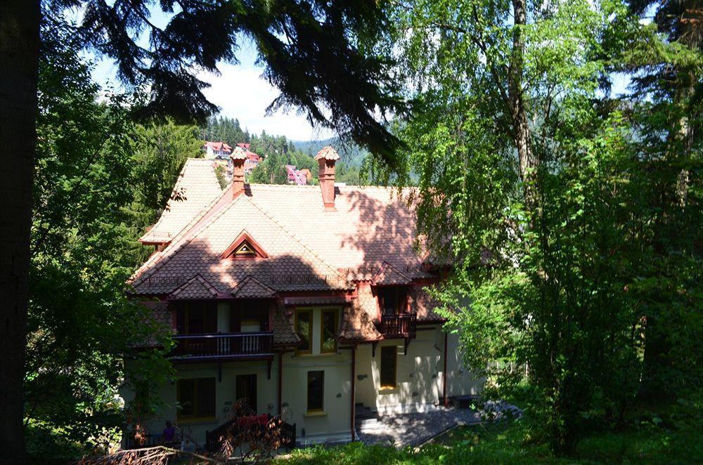 Vila Arizto Sinaia Zewnętrze zdjęcie