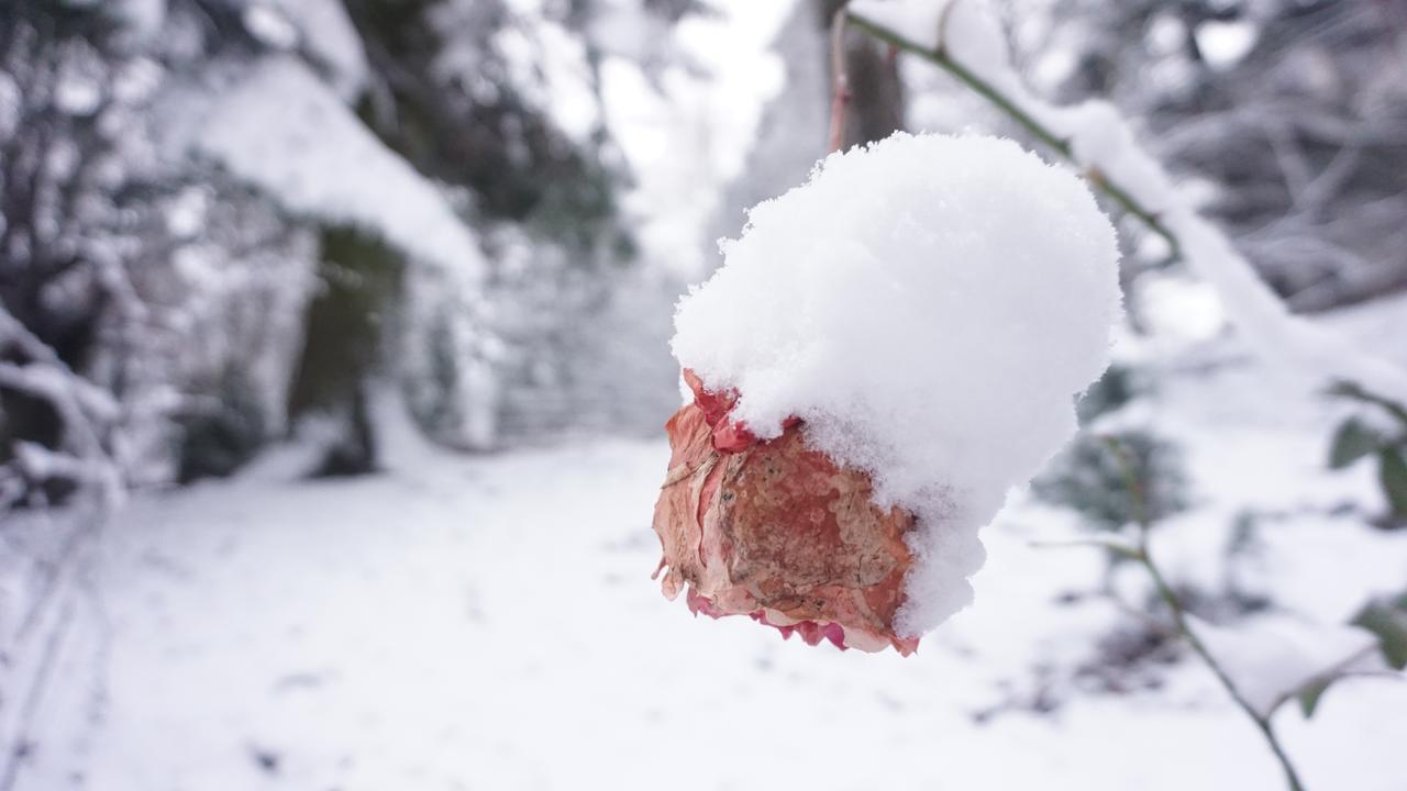 Vila Arizto Sinaia Zewnętrze zdjęcie